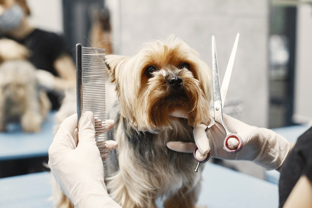 Jak wybrać idealny grzebień dla Twojego psa – poradnik pielęgnacji sierści